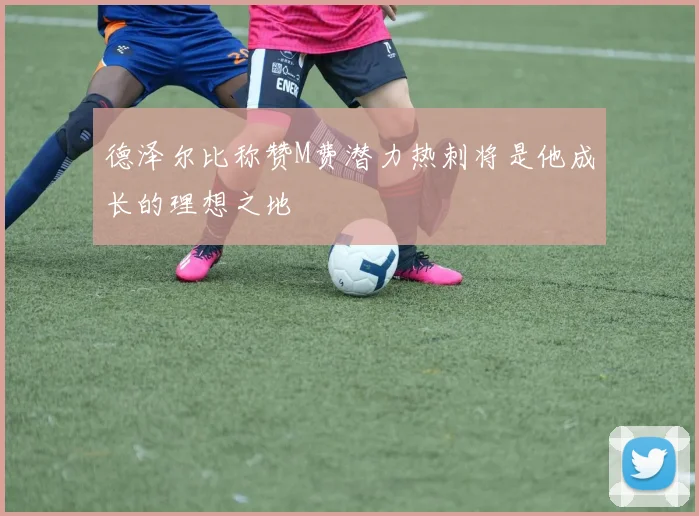 德泽尔比称赞M费潜力热刺将是他成长的理想之地